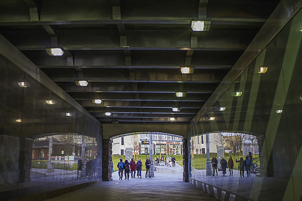 Яркая осень