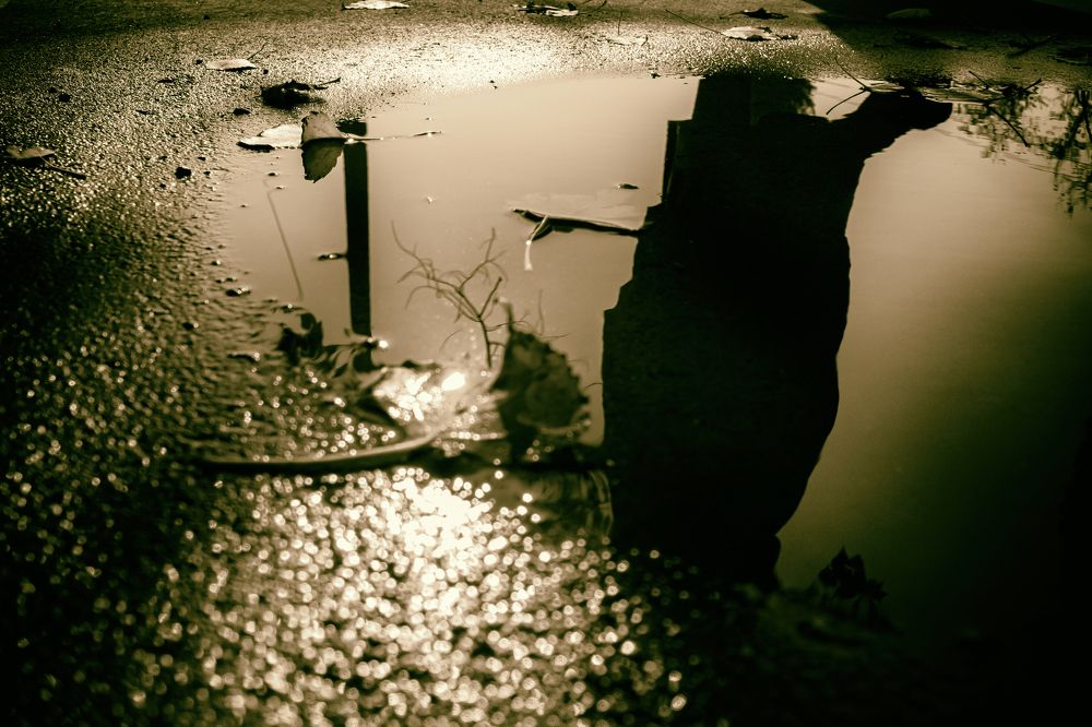 Photograph by Виталий Павлов