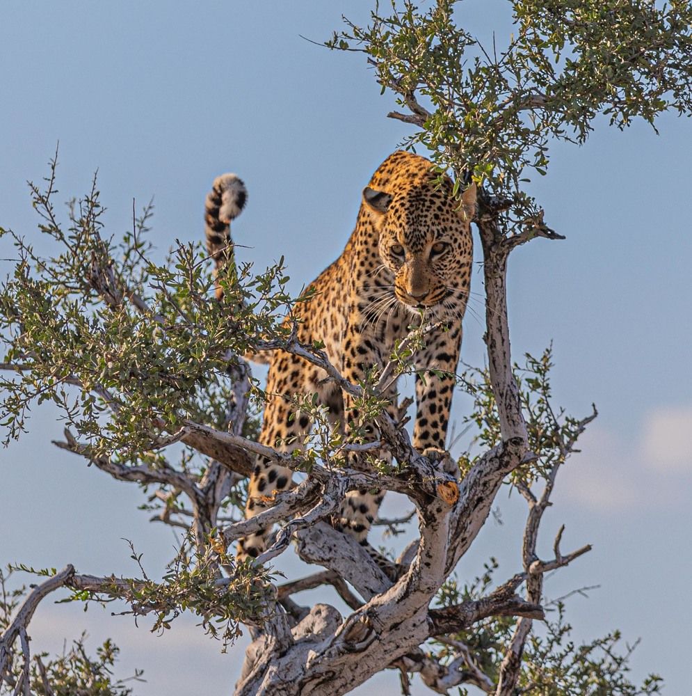 Взгляд с высоты