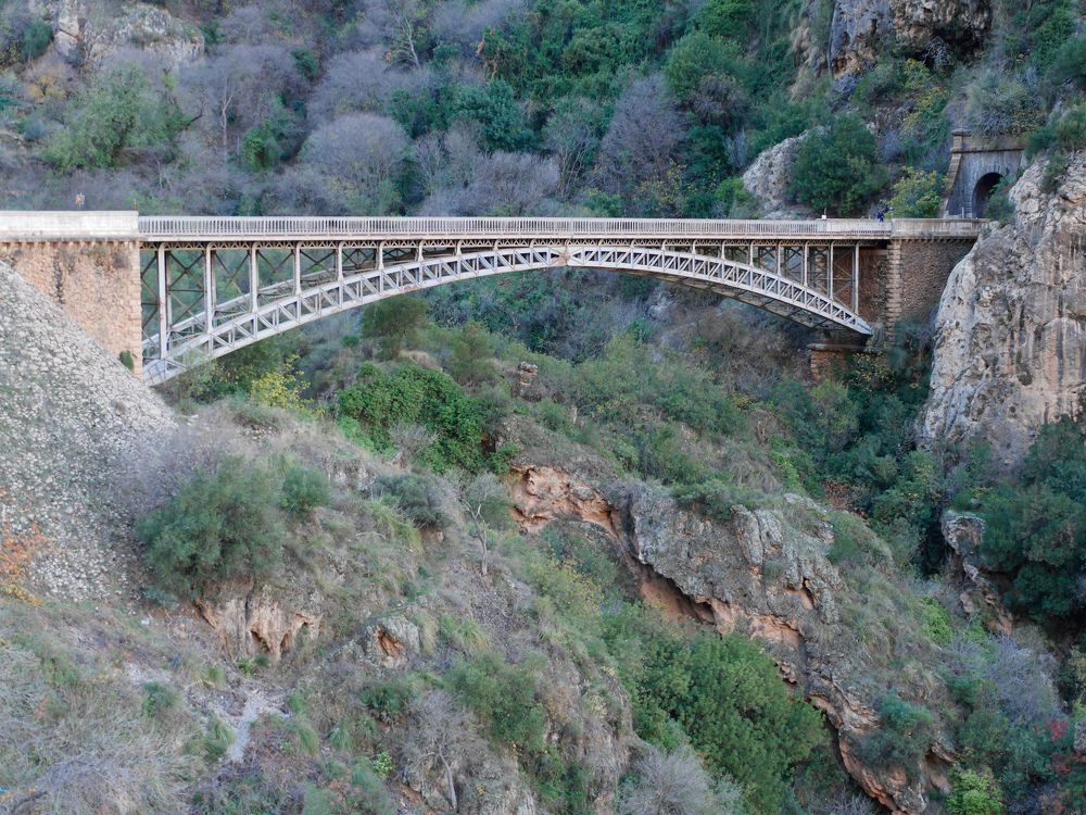 Photograph by Douila Abdelghani