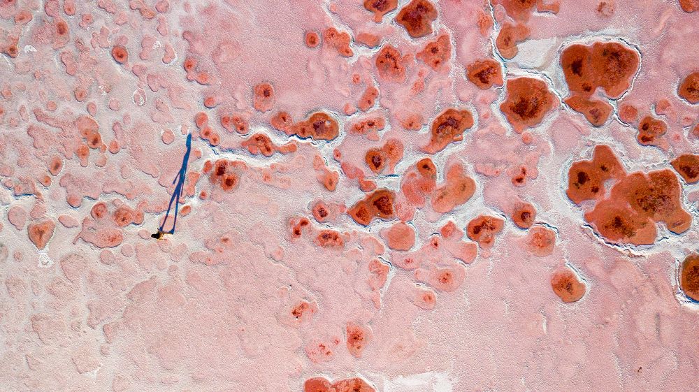 Фотография автора Андрей Кельс