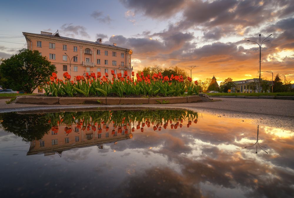 Photograph by Roman Dmitriev