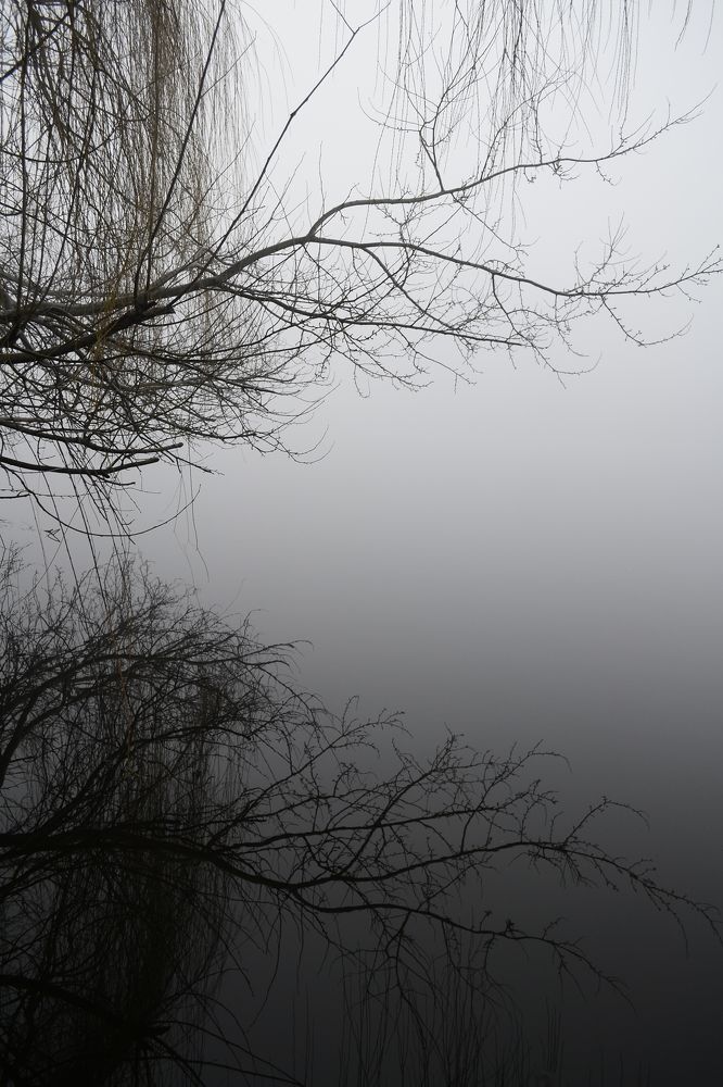 Photograph by Карина Слабкая