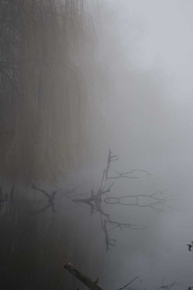 Photograph by Карина Слабкая