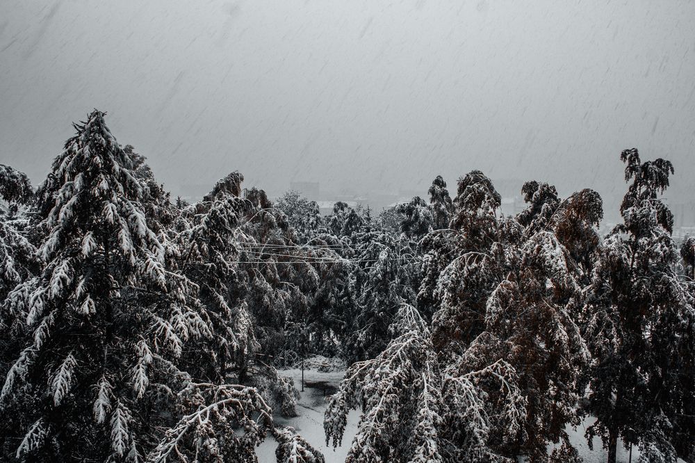 Photograph by Андрей Ляхов