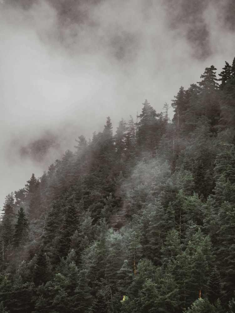 Photograph by Юрий Сныткин