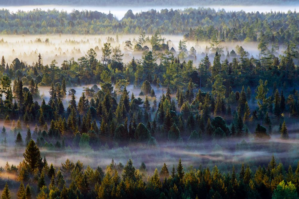 Photograph by Воинков Виктор