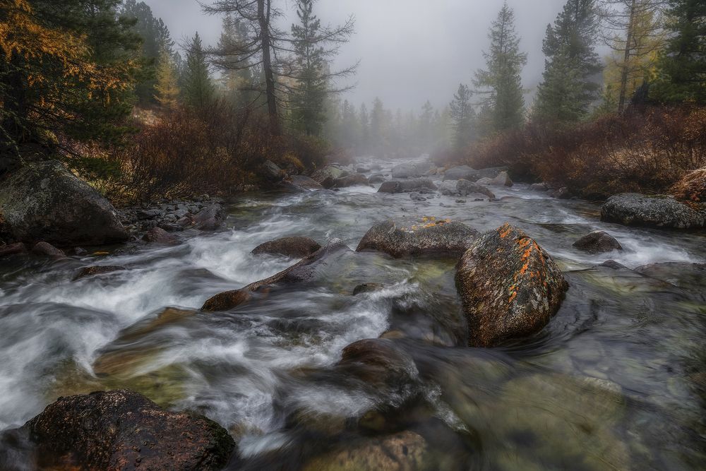 Photograph by Александр Макеев