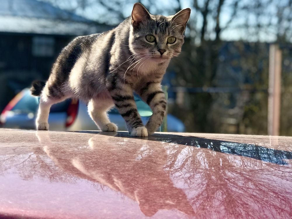 Photograph by Григорий Лыжин