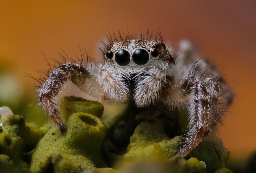 Photograph by Юрьевич Юрий