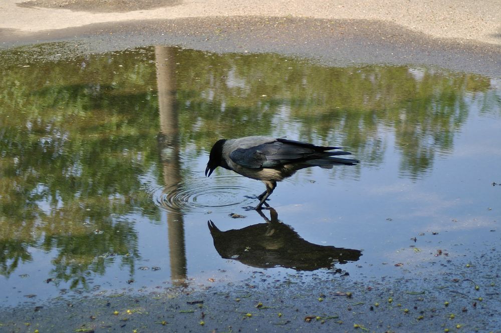 Photograph by Евгений Беленков