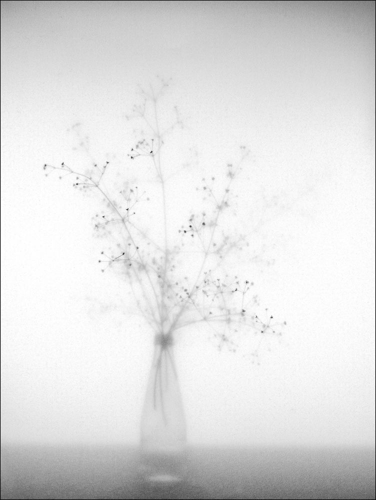 Photograph by Пожар Диана