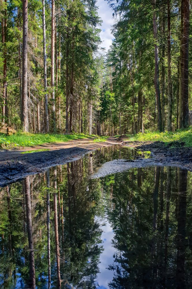 Photograph by Татьяна Лышенко