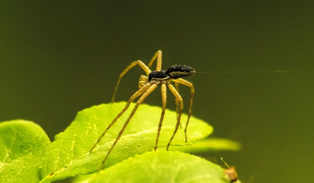 Фотография автора Игорь Иванов