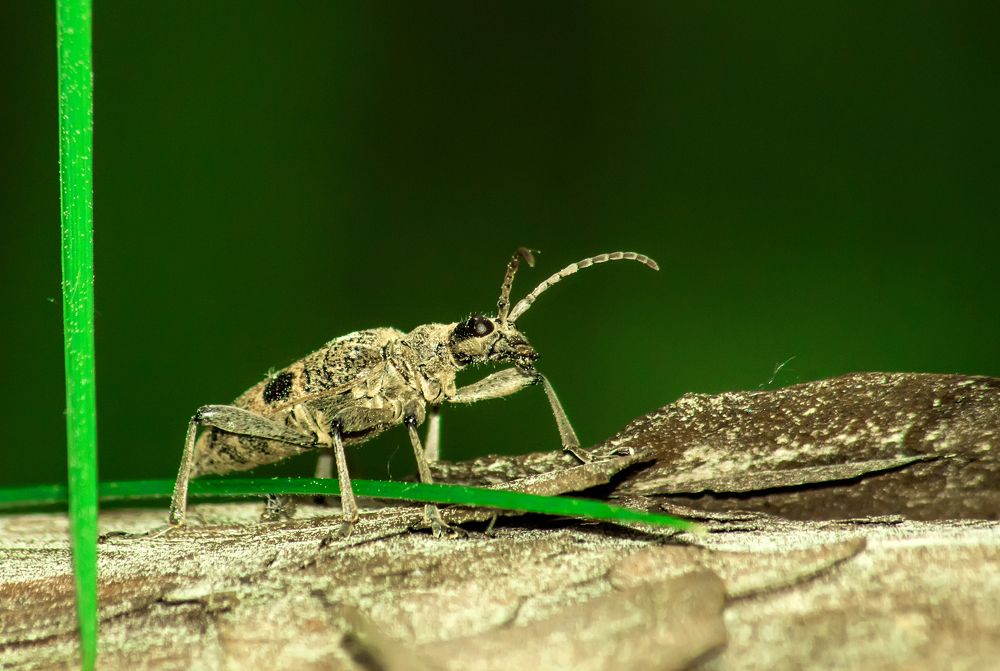 Фотография автора Игорь Иванов