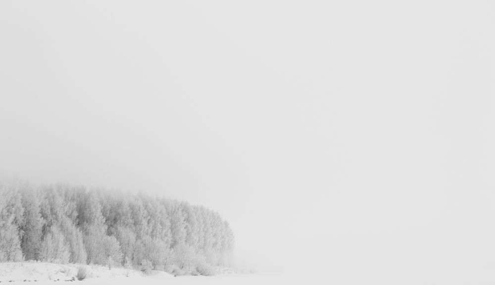 Photograph by Александр Евграфов