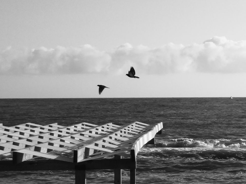 Photograph by Александра Божко