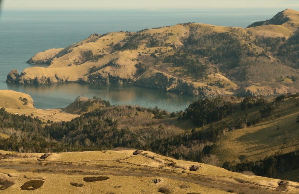 Photograph by Андрей