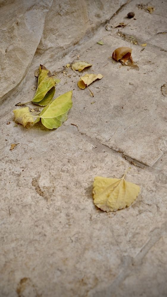 Фотография автора Ольга Забрянская