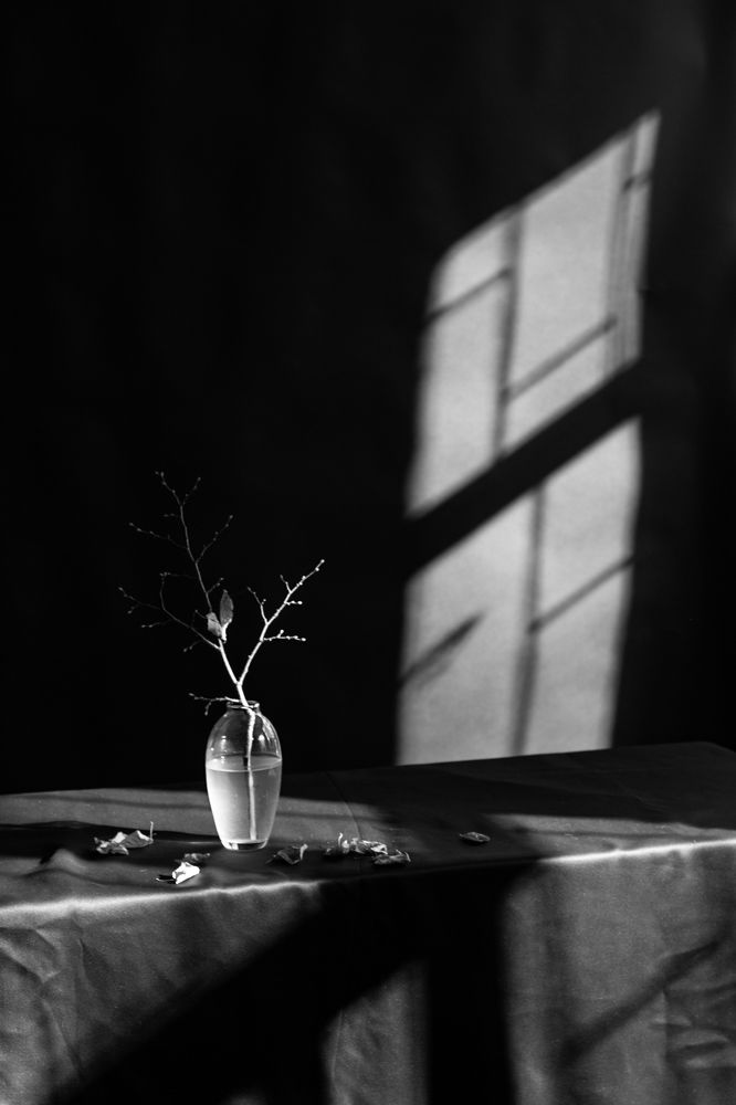 Photograph by Екатерина