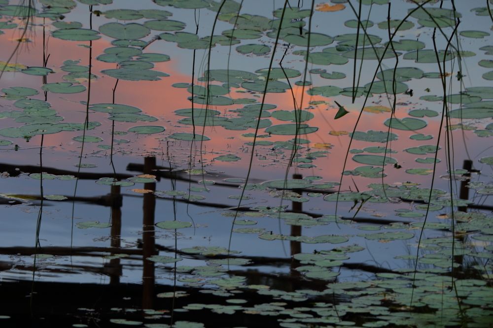 Photograph by Юлия Куликова