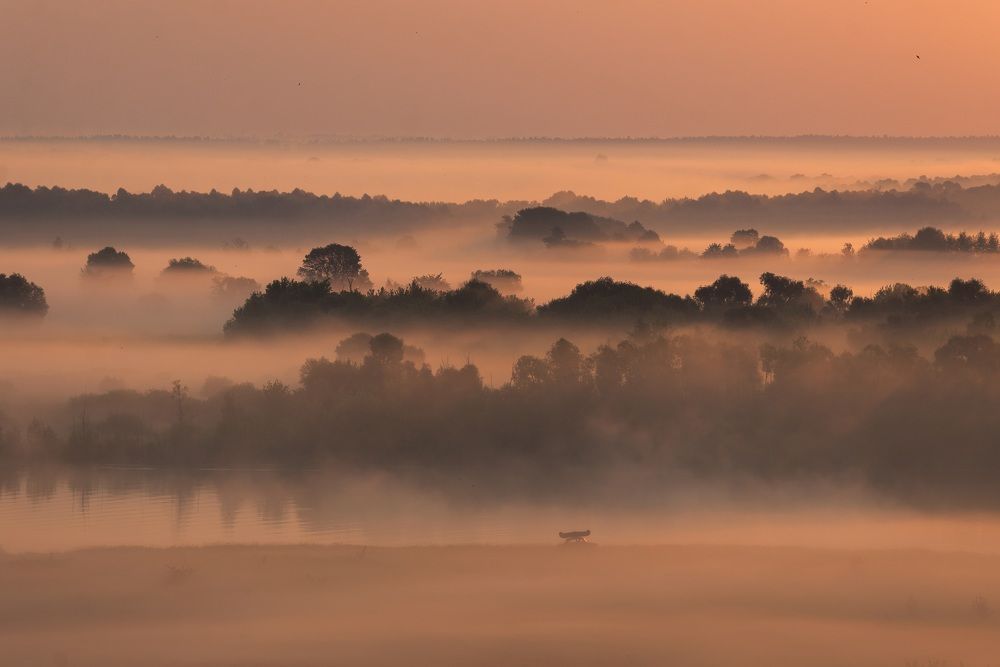 Photograph by Мария Чепрасова