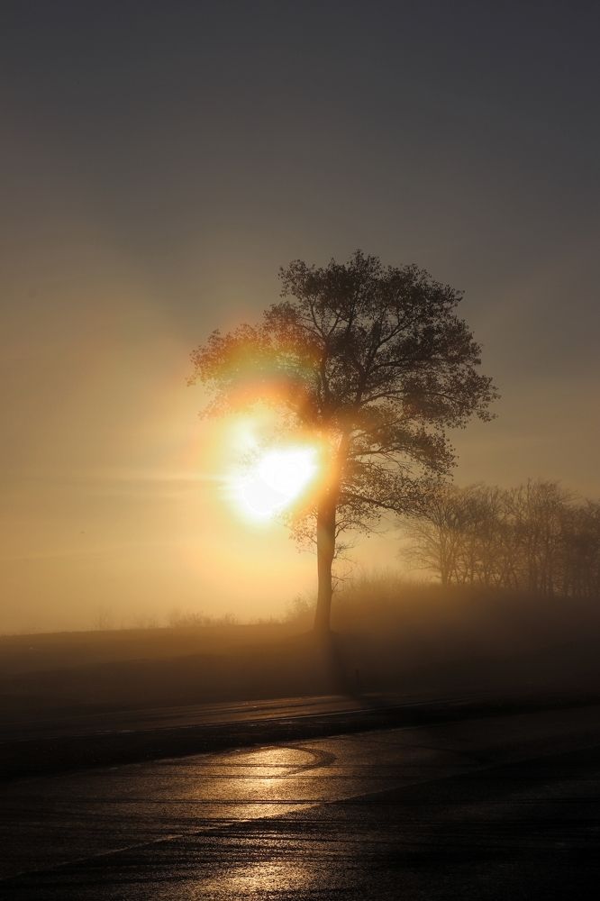 Сердечное солнышко
