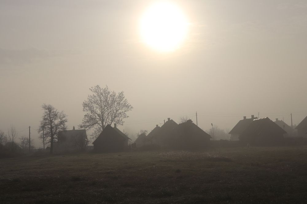 Туманная нежность утром в деревне