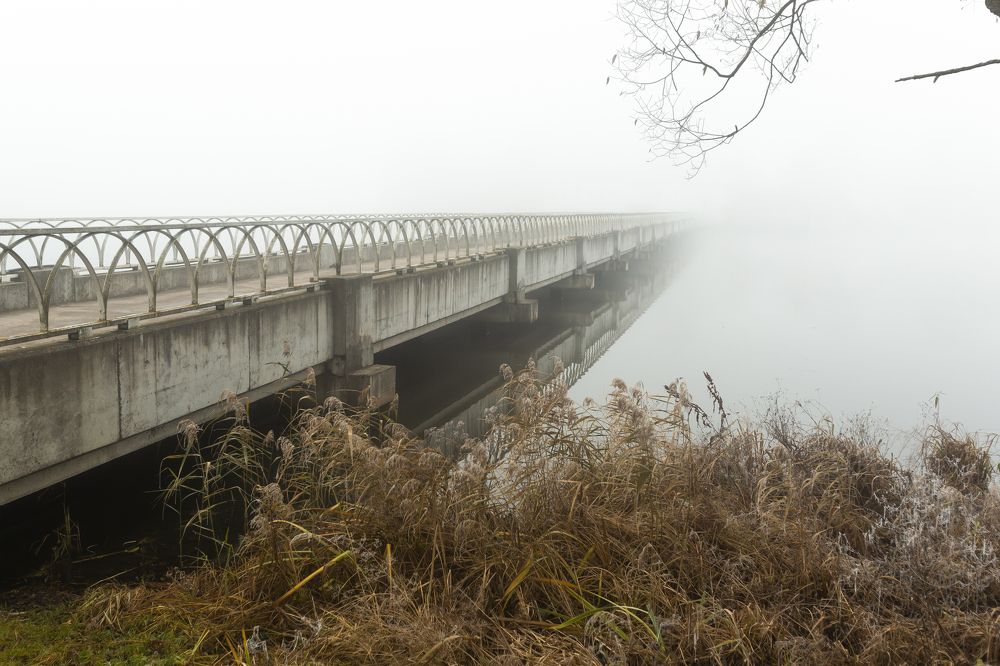 Photograph by Денис Соловьёв