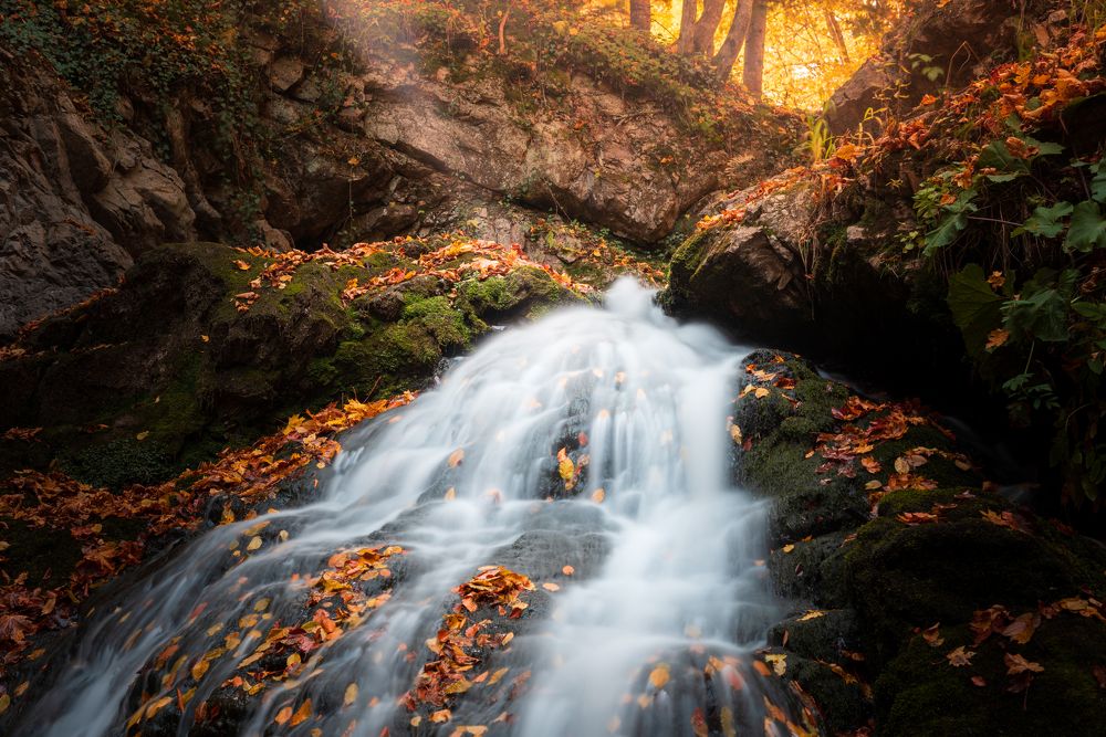 Photograph by Alexandru Handrache