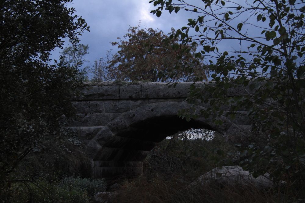 Photograph by 