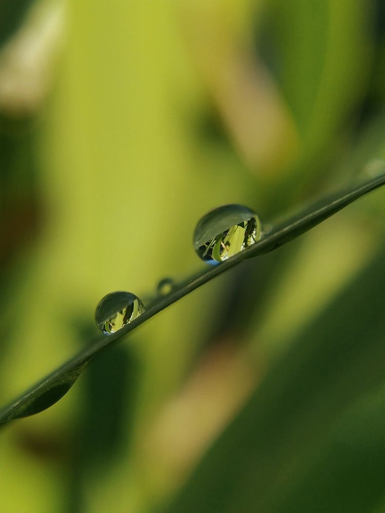 Фотография автора Наталья Алексеева