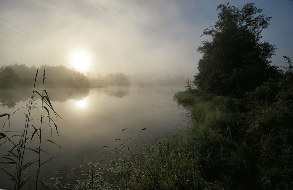 Photograph by Владимир Архипов