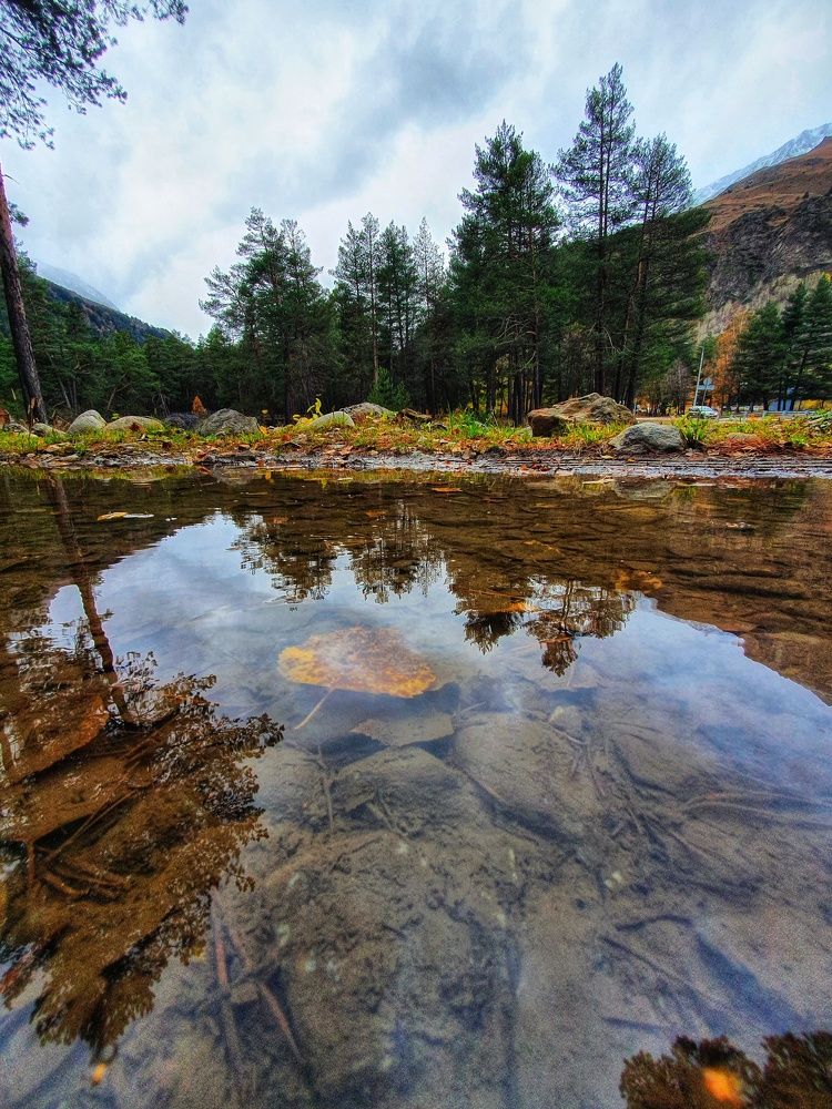 Отражение осени