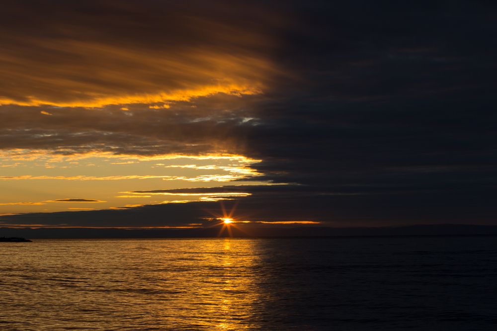 Фотография автора Оркина Ксения