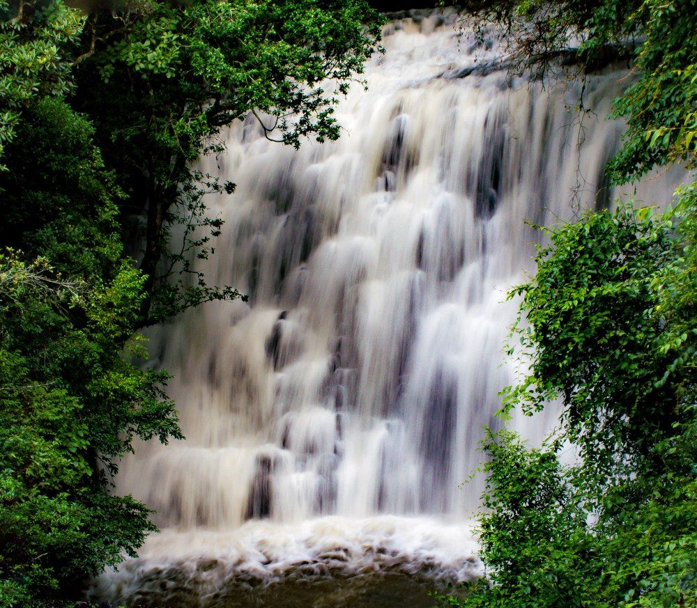 Photograph by Souradeep Chakraborty