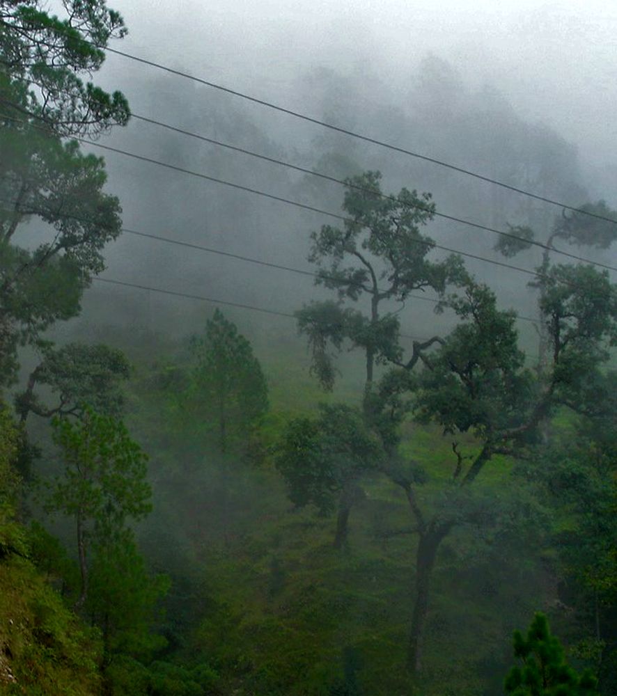 Photograph by Ritu Dinkar