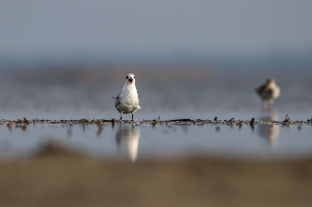 Photograph by Chamara Sulakkhana Polwatta Siriyalage