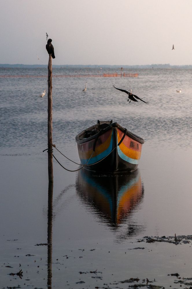 Photograph by Chamara Sulakkhana Polwatta Siriyalage