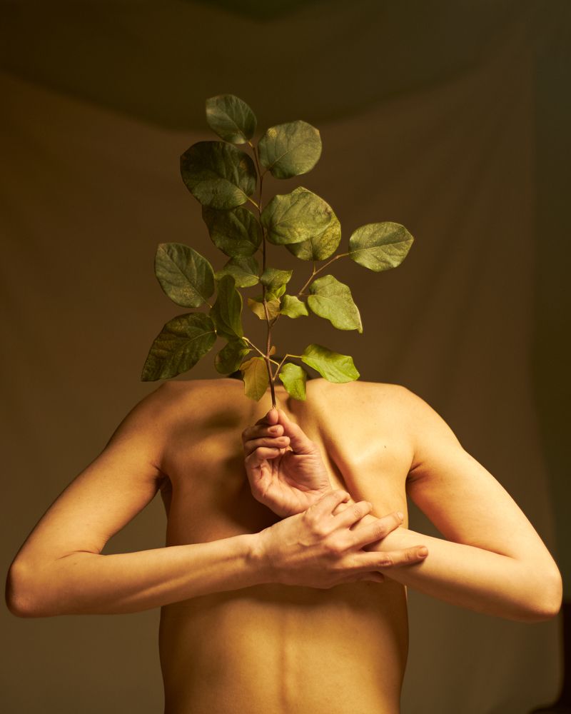 Photograph by Farhad