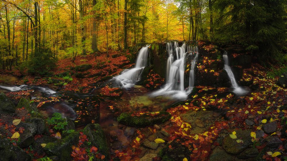 Photograph by Tom Kráčmar