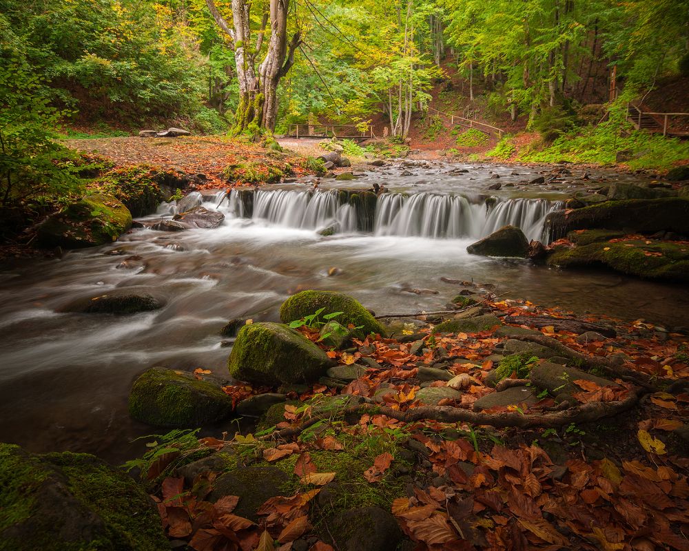 В окрестностях водопада Шипот