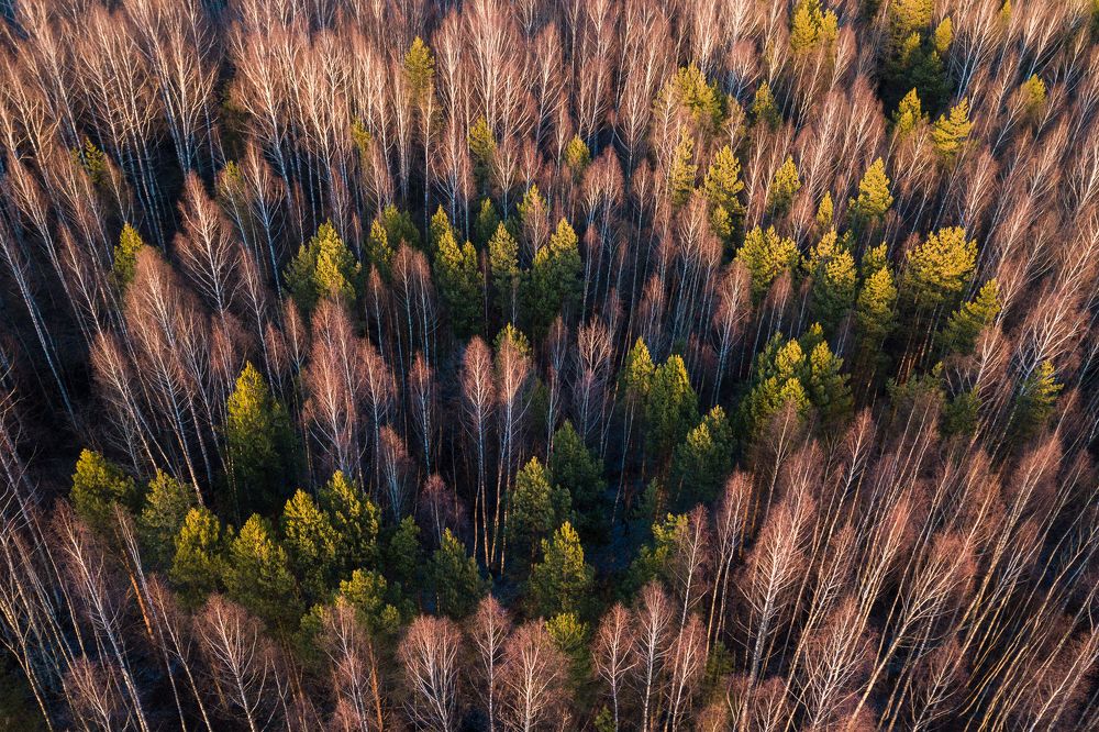 Photograph by Андрей Белавин