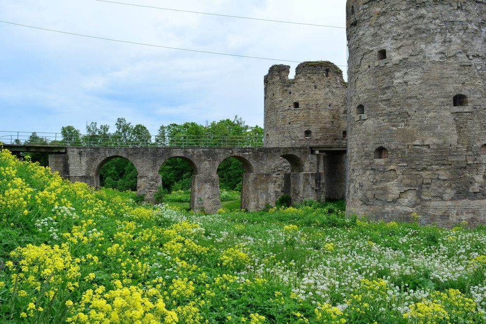 Photograph by Ирина Кулешова
