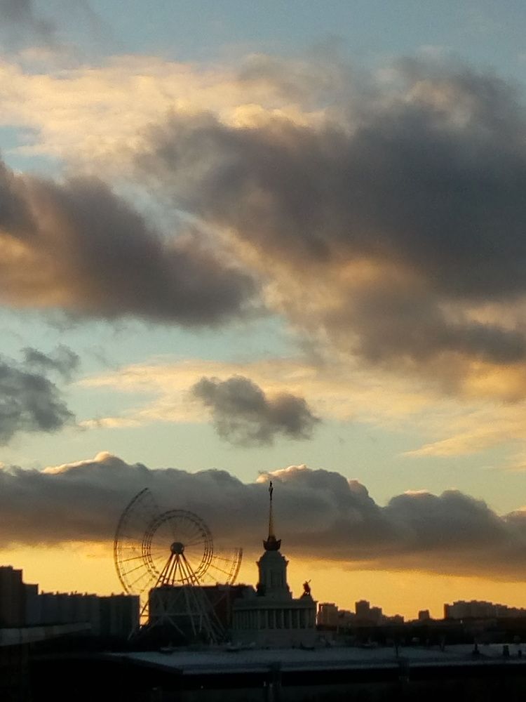 Photo #6825651