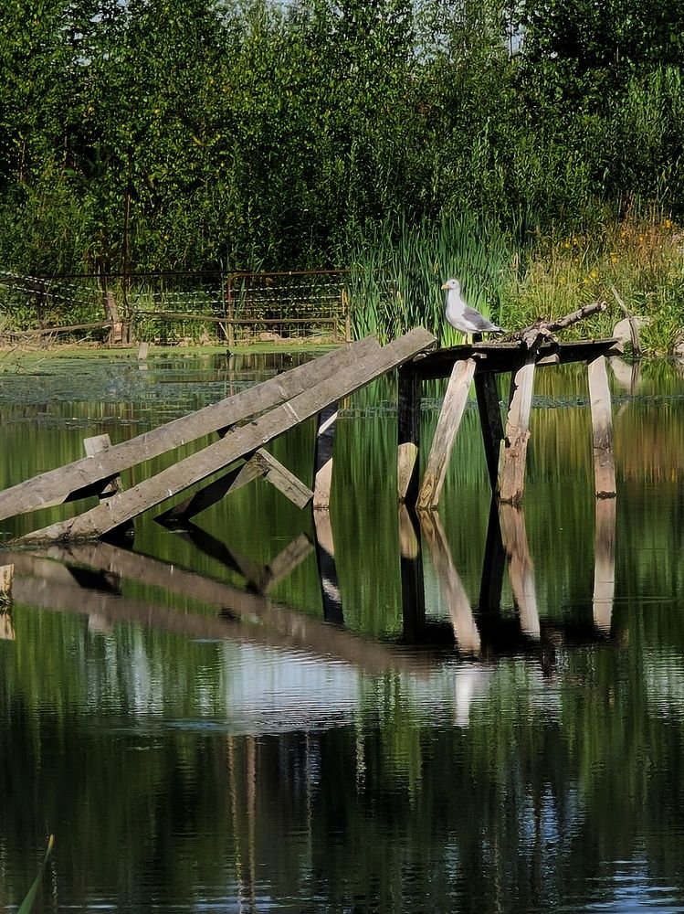 Photograph by Светлана Смирнова