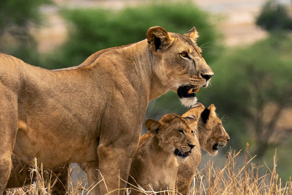 Photograph by Jürgen Büchel