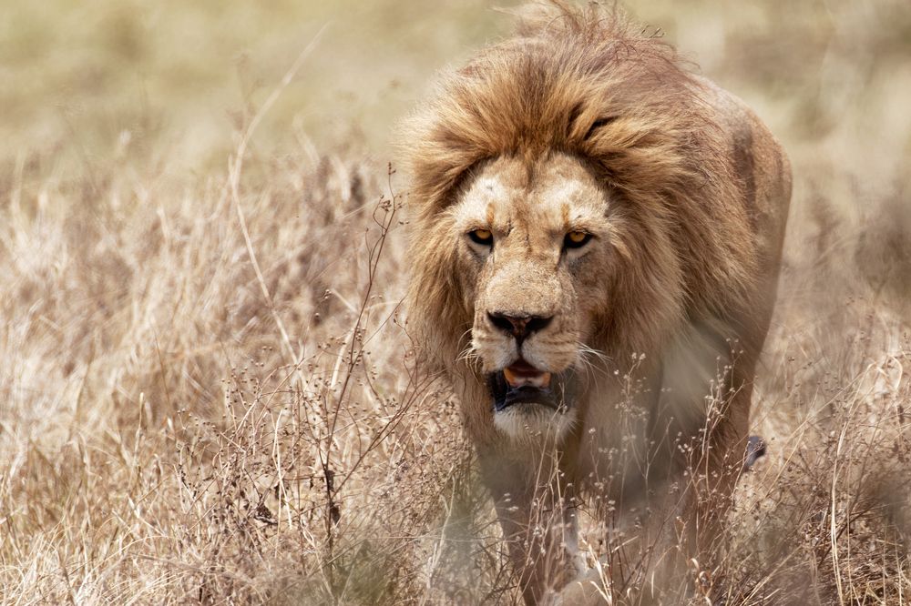 Photograph by Jürgen Büchel