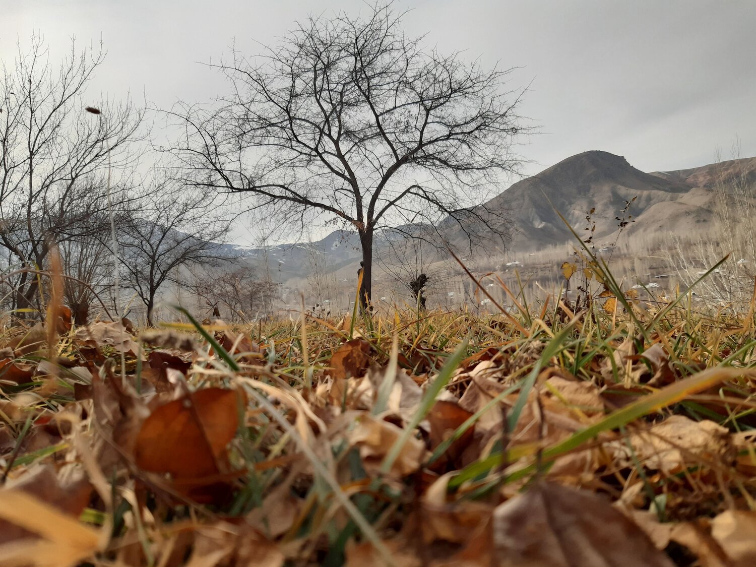 Photo #6825681