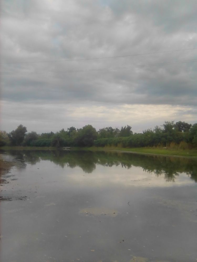 Photograph by Марта Васильева